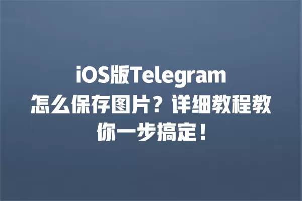 iOS版Telegram怎么保存图片?详细教程教你一步搞定! 2 iOS版Telegram怎么保存图片?详细教程教你一步搞定! 二